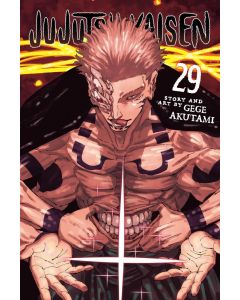 Jujutsu Kaisen, Vol. 29